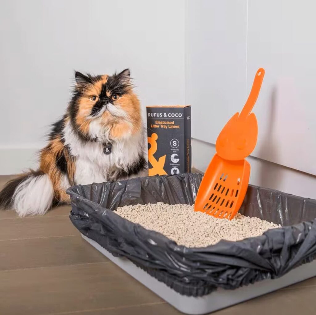 cat litter