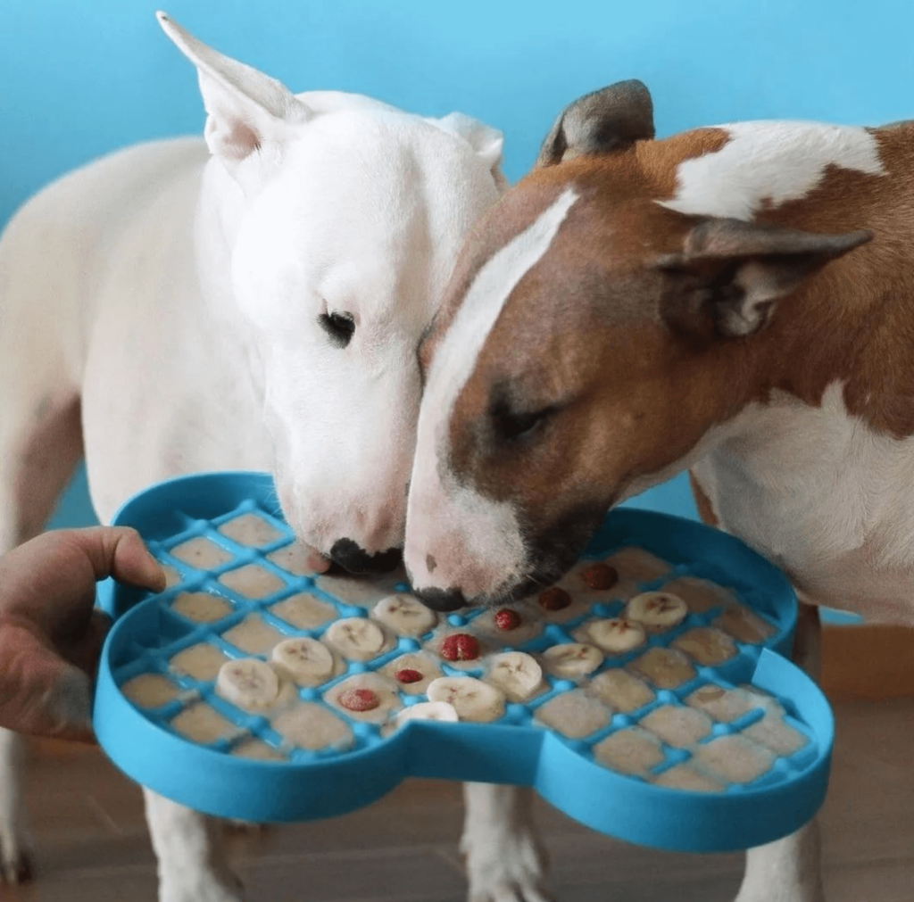 Licking mat for helping treat anxiety in dogs